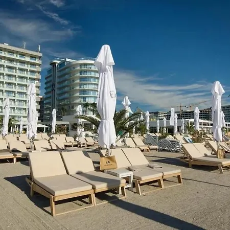 Camar * Mamaia